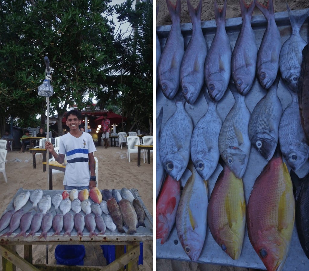 Food in Sri Lanka; Fresh Sea Food